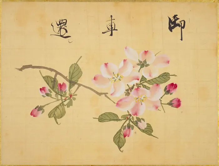 Framed Print : From the Sketch Book of Sakura (Cherry Blossoms), Between 1830 and 1853. Creator: Sakamoto, Konen (1800-1853) Framed Print : From the Sketch Book of Sakura (Cherry Blossoms), Between 1830 and 1853. Creator: Sakamoto, Konen (1800-1853)