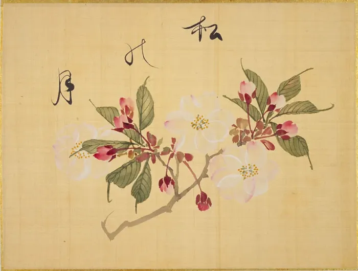 Framed Print : From the Sketch Book of Sakura (Cherry Blossoms), Between 1830 and 1853. Creator: Sakamoto, Konen (1800-1853) Framed Print : From the Sketch Book of Sakura (Cherry Blossoms), Between 1830 and 1853. Creator: Sakamoto, Konen (1800-1853)
