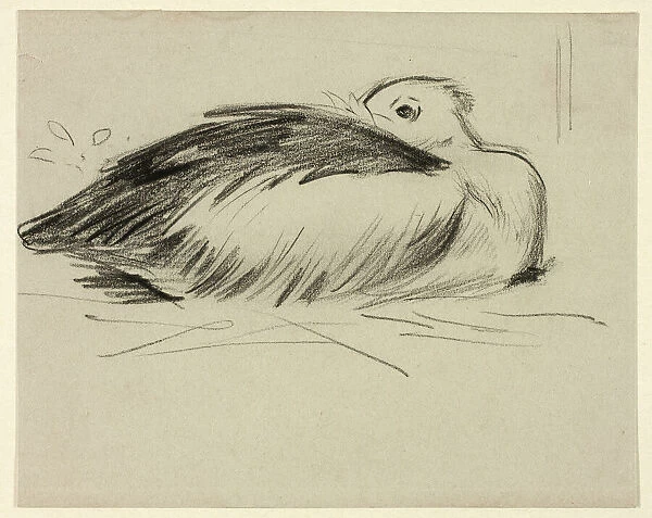 Sketch of Nesting Stork, n. d. Creator: Henry Stacy Marks