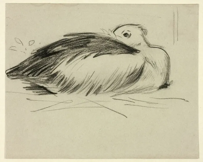 Framed Print : Sketch of Nesting Stork, n. d. Creator: Henry Stacy Marks Framed Print : Sketch of Nesting Stork, n. d. Creator: Henry Stacy Marks