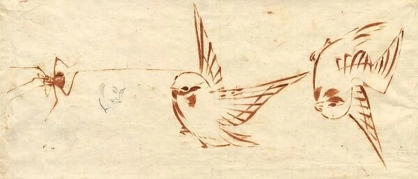 Sketch Page with Birds and Spider. Creator: Katsushika Hokusai (Japanese, 1760-1849)