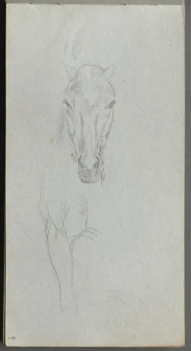 Framed Print : Sketchbook, page 09: Study of a Horse. Creator: Ernest Meissonier (French, 1815-1891)
