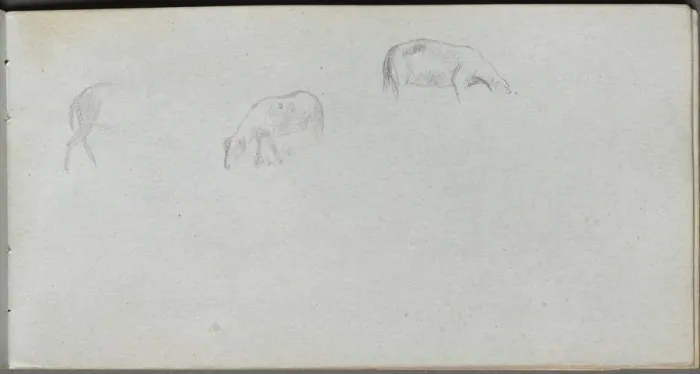 Framed Print : Sketchbook, page 20: Animal Study. Creator: Ernest Meissonier (French, 1815-1891) Framed Print : Sketchbook, page 20: Animal Study. Creator: Ernest Meissonier (French, 1815-1891)