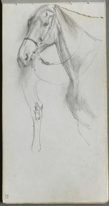 Framed Print : Sketchbook, page 55: Study for a Horse. Creator: Ernest Meissonier (French, 1815-1891) Framed Print : Sketchbook, page 55: Study for a Horse. Creator: Ernest Meissonier (French, 1815-1891)