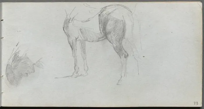 Framed Print : Sketchbook, page 73: Study of a Horse, profile. Creator: Ernest Meissonier (French, 1815-1891) Framed Print : Sketchbook, page 73: Study of a Horse, profile. Creator: Ernest Meissonier (French, 1815-1891)