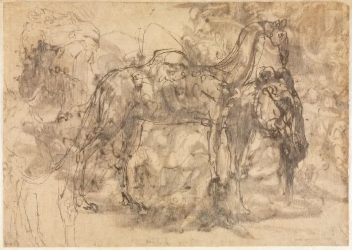 Framed Print : Sketches of Animals (verso), c. 1545 / 47. Creator: Perino del Vaga (Italian, 1500 / 01-1547) Framed Print : Sketches of Animals (verso), c. 1545 / 47. Creator: Perino del Vaga (Italian, 1500 / 01-1547)