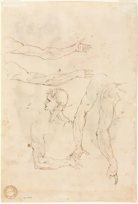 Framed Print : Sketches of Five Arms and a Head (verso), mid 1500s. Creator: Luzio Romano (Italian Framed Print : Sketches of Five Arms and a Head (verso), mid 1500s. Creator: Luzio Romano (Italian