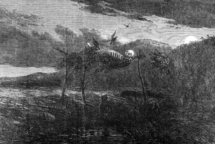 Framed Print : Sketches in Australia - Aboriginal Mode of the Disposal of the Dead, 1857. Creator: Unknown Framed Print : Sketches in Australia - Aboriginal Mode of the Disposal of the Dead, 1857. Creator: Unknown