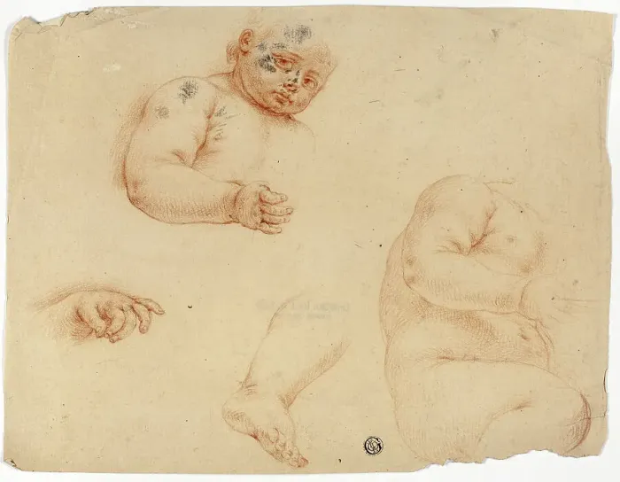Framed Print : Sketches of a Child: Half-Length, Torso, Foot, Hand, 1700 / 1799. Creator: Unknown Framed Print : Sketches of a Child: Half-Length, Torso, Foot, Hand, 1700 / 1799. Creator: Unknown