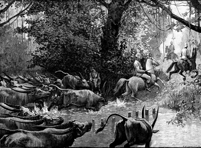 Framed Print : Sketches in Formosa: pursued by water-buffaloes, 1890. Creator: H. Werdmuller Framed Print : Sketches in Formosa: pursued by water-buffaloes, 1890. Creator: H. Werdmuller