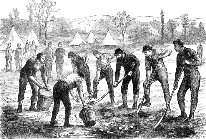 Framed Print : Sketches in Ireland: Property Defence Association: digging potatoes at Woodgyft, Co. Kilkenny, 1881. Creator: Unknown
