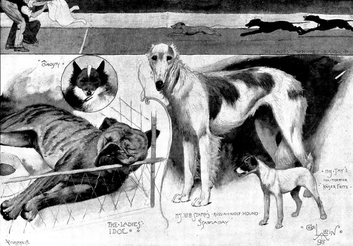 Framed Print : Sketches at the Ladies Kennel Association's first show, at the Ranelagh Club, Barn Elms, 1895 Framed Print : Sketches at the Ladies Kennel Association's first show, at the Ranelagh Club, Barn Elms, 1895