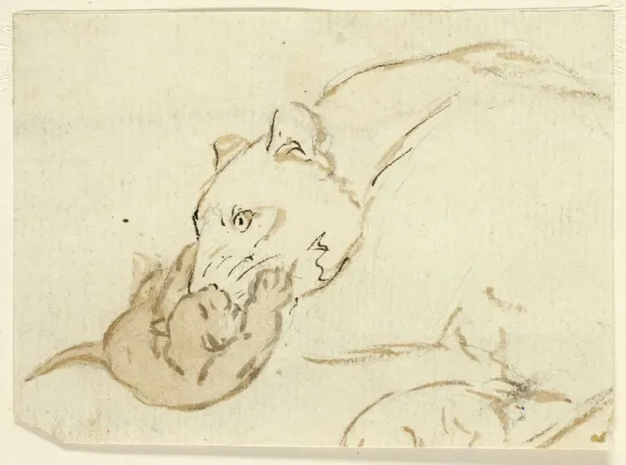 Framed Print : Five Sketches of Lions: Lioness with Cub, n. d. Creator: Henry Stacy Marks Framed Print : Five Sketches of Lions: Lioness with Cub, n. d. Creator: Henry Stacy Marks