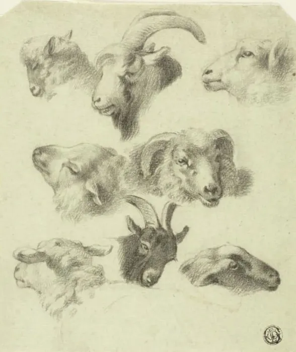 Framed Print : Sketches of Mountain Sheep, n.d. Creators: Charles Landseer, Edwin Henry Landseer Framed Print : Sketches of Mountain Sheep, n.d. Creators: Charles Landseer, Edwin Henry Landseer