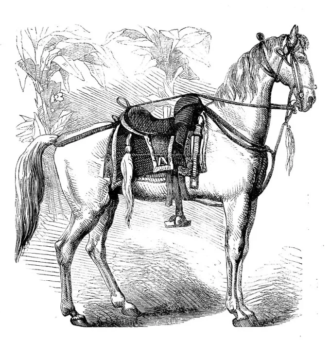 Framed Print : Sketches of Native Life in India - Sikh Horse, 1858. Creator: Unknown Framed Print : Sketches of Native Life in India - Sikh Horse, 1858. Creator: Unknown