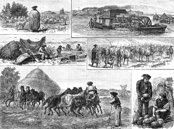 Framed Print : Sketches of Peasant Life in Hungary, 1883. Creator: William Michael Roberts Quick Framed Print : Sketches of Peasant Life in Hungary, 1883. Creator: William Michael Roberts Quick
