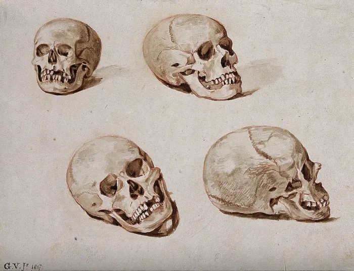 Framed Print : Four sketches of skulls, 1817. Creator: Unknown Framed Print : Four sketches of skulls, 1817. Creator: Unknown