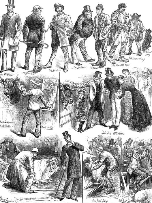 Framed Print : Sketches at the Smithfield Club Cattle Show, 1881. Creator: Unknown Framed Print : Sketches at the Smithfield Club Cattle Show, 1881. Creator: Unknown