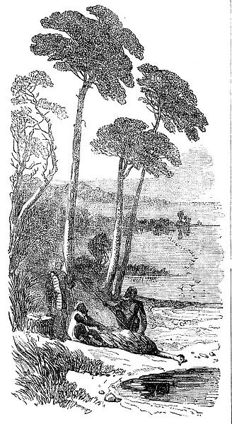Sketches in Southern Australia - the Dead Emu, 1857. Creator: Unknown