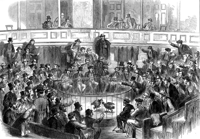 Framed Print : Sketches in Spain: a Sunday amusement at Madrid, 1873. Creator: Unknown Framed Print : Sketches in Spain: a Sunday amusement at Madrid, 1873. Creator: Unknown
