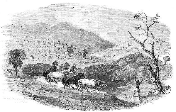 Sketches in Western Australia - Culham, in the Upper Valley of the Swan, 1857. Creator: Unknown