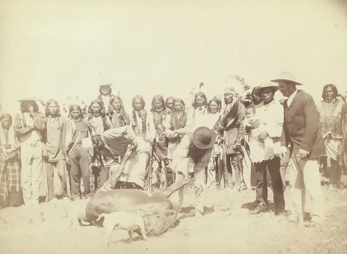 Framed Print : Skinning Beef, between 1887 and 1892. Creator: John C. H. Grabill Framed Print : Skinning Beef, between 1887 and 1892. Creator: John C. H. Grabill