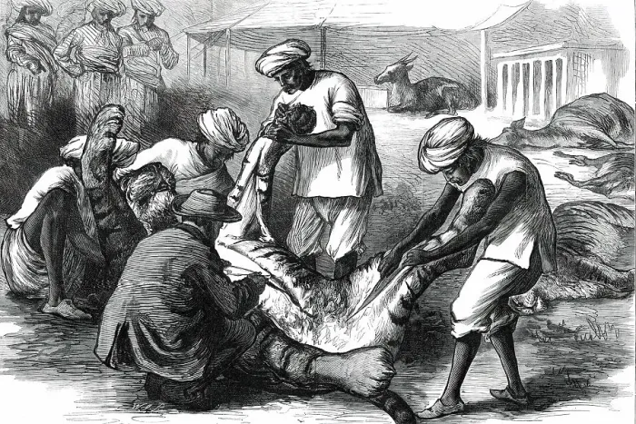Framed Print : Skinning a Tiger, from a sketch by one of our special artists in India, 1876. Creator: Unknown Framed Print : Skinning a Tiger, from a sketch by one of our special artists in India, 1876. Creator: Unknown