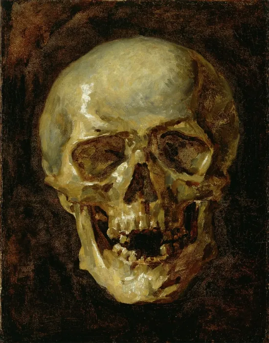Framed Print : Skull, 19th century. Creator: Unknown Framed Print : Skull, 19th century. Creator: Unknown