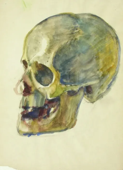 Framed Print : Skull, c1910s. Creator: Verner Thome