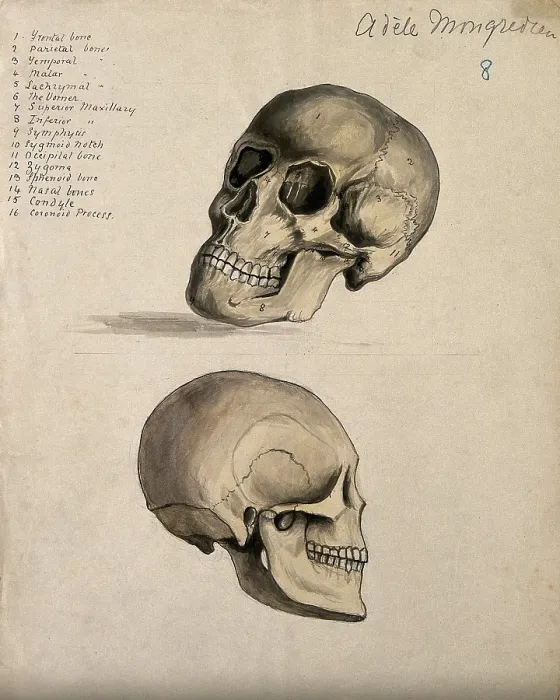 Framed Print : A skull: two figures, 1880. Creator: Adele Mongredien Framed Print : A skull: two figures, 1880. Creator: Adele Mongredien