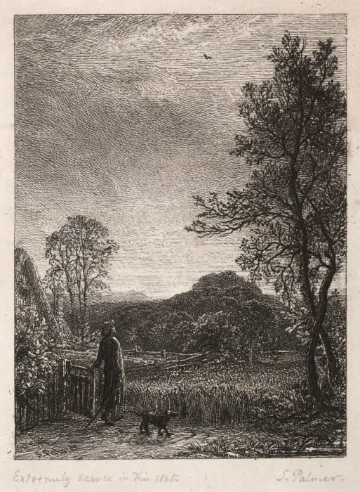 Framed Print : The Skylark, 1850. Creator: Samuel Palmer (British, 1805-1881) Framed Print : The Skylark, 1850. Creator: Samuel Palmer (British, 1805-1881)