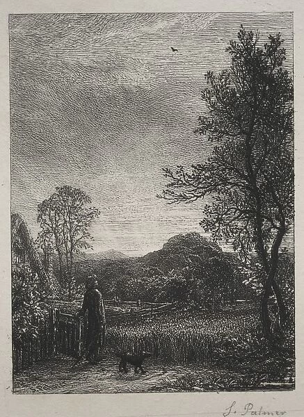 The Skylark, 1850. Creator: Samuel Palmer (British, 1805-1881)