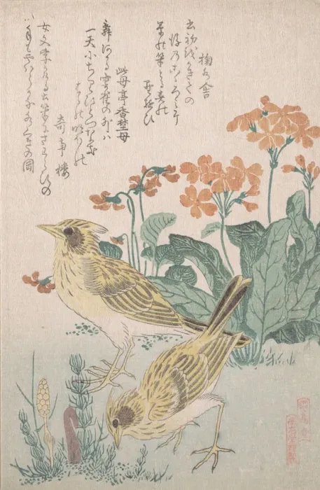 Framed Print : Skylarks and Primroses... ca. 1805-10. Creator: Kubo Shunman Framed Print : Skylarks and Primroses... ca. 1805-10. Creator: Kubo Shunman