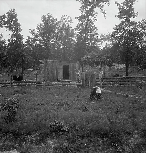 Slab house in clearing east of Atoka, Oklahoma, Atoka County, 1938. Creator: Dorothea Lange
