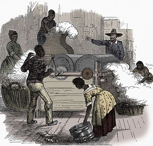 Slave labour on a cotton plantation in the southern states of America, 1860