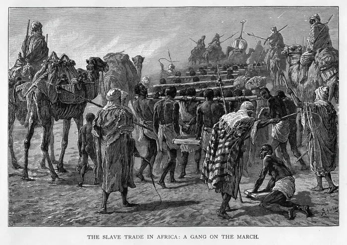 Framed Print : The slave trade in Africa: a gang on the march, c1875 Framed Print : The slave trade in Africa: a gang on the march, c1875