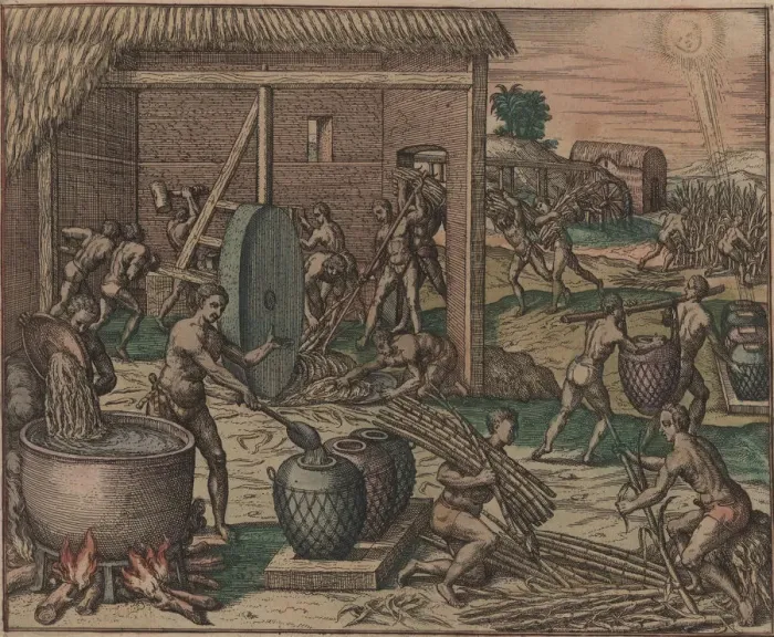 Framed Print : Slaves process sugar cane and make sugar, 1595. Creator: Bry, Theodor de (1528-1598) Framed Print : Slaves process sugar cane and make sugar, 1595. Creator: Bry, Theodor de (1528-1598)