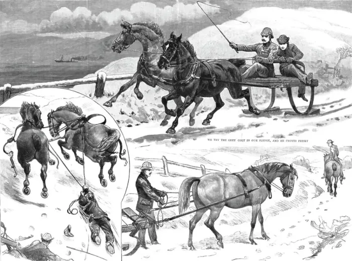 Framed Print : Sledging in the Isle of Bute, 1886. Creator: Unknown Framed Print : Sledging in the Isle of Bute, 1886. Creator: Unknown