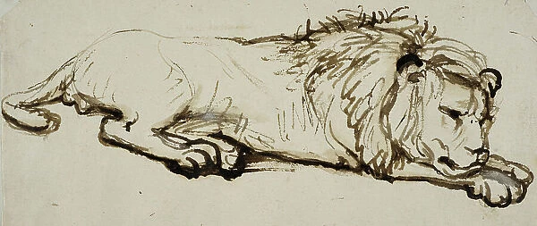 Sleeping lion. Creator: Rembrandt Harmensz van Rijn
