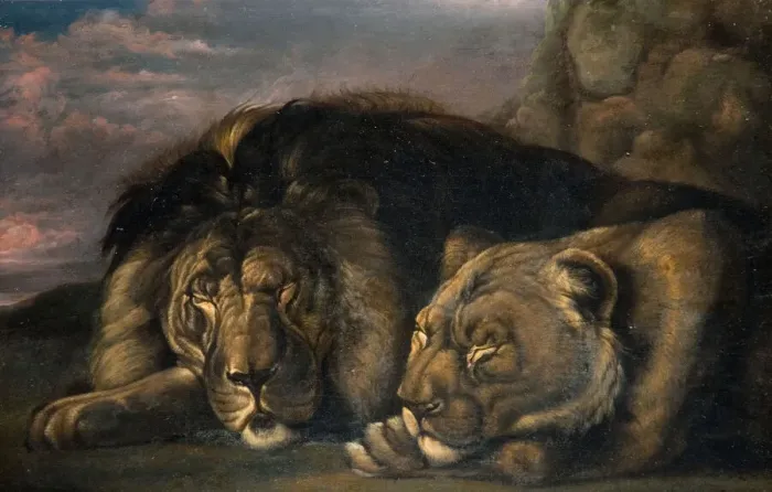 Framed Print : Sleeping Lion and Lioness 1823-1830. Creator: Samuel Raven Framed Print : Sleeping Lion and Lioness 1823-1830. Creator: Samuel Raven