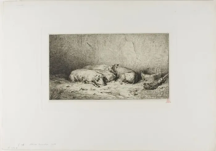 Framed Print : Four Sleeping Pigs, 1850. Creator: Charles Emile Jacque Framed Print : Four Sleeping Pigs, 1850. Creator: Charles Emile Jacque