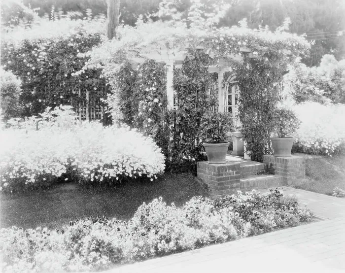 Framed Print : Small arbor covered with roses, with daisies and pansies on... Pasadena, California, c1903 - 1923. Creator: Frances Benjamin Johnston Framed Print : Small arbor covered with roses, with daisies and pansies on... Pasadena, California, c1903 - 1923. Creator: Frances Benjamin Johnston
