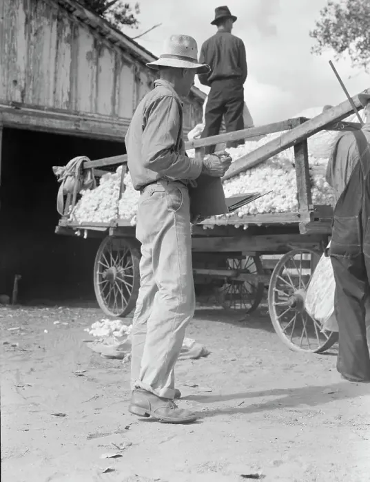 Framed Print : Small cotton farm, Kern County, California, 1938. Creator: Dorothea Lange Framed Print : Small cotton farm, Kern County, California, 1938. Creator: Dorothea Lange