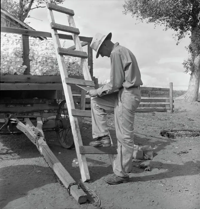 Framed Print : Small cotton farmer, Kern County, California, 1938. Creator: Dorothea Lange Framed Print : Small cotton farmer, Kern County, California, 1938. Creator: Dorothea Lange