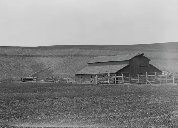 Framed Print : Small dairy farm near Santa Maria, California, 1939. Creator: Dorothea Lange Framed Print : Small dairy farm near Santa Maria, California, 1939. Creator: Dorothea Lange