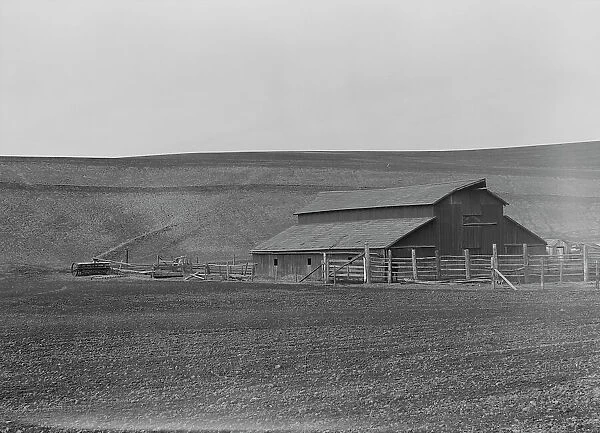 Small dairy farm near Santa Maria, California, 1939. Creator: Dorothea Lange