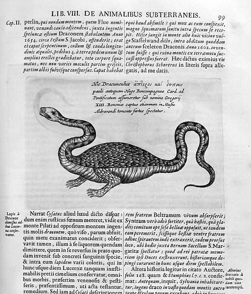 Small dragon, 1678. Artist: Athanasius Kircher