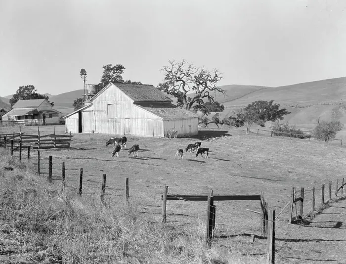 Framed Print : Small farm of California, Contra Costa County, 1938. Creator: Dorothea Lange