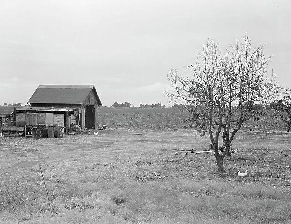 Small farm, Kern County, California, 1938. Creator: Dorothea Lange