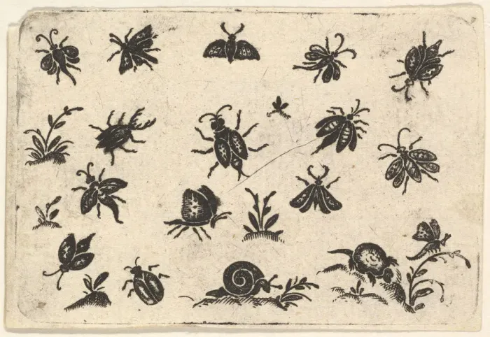 Framed Print : Small Motifs of Insects and Plants, 1596. Creator: Georg Herman